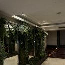 즐거운헬스타운 | 헬스랜드 사톤점 방문후기! 방콕 차이나타운 야시장...추천 딤섬맛집 HAGOW 솔직후기, 방콕 샹그릴라 호텔