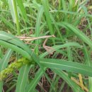 용현농장 이미지