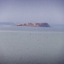 김종성농장 이미지