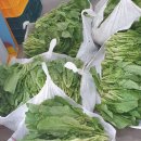 정아네식품 이미지