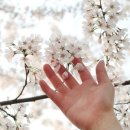 용암3길 이미지