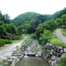 춘천숲자연휴양림 이미지