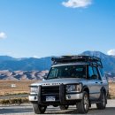 오가닉피티 이미지