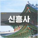 신흥사(제48호)