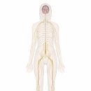 동행의원한의원 이미지