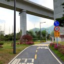 금남리 꽃가람 공원[금남-4] | 남양주 "금남멧돼지"(야외에서 맛보는 멧돼지고기🐷&amp;애견동반식당🐶)