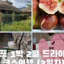 근대화슈퍼 이미지