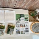 펫빌리지 이미지