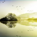 새들의천국 이미지