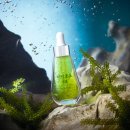 동시약국 이미지