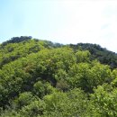 산수명산 이미지