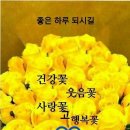 행복카페 Daum카페