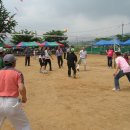 덕산중학교 이미지