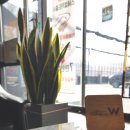 봉구세차장 이미지