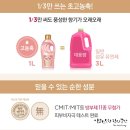 판타지홀릭스 이미지