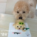 댕유