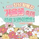 장성기원