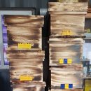 금송농장2 이미지