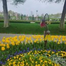 우남샘물타운 이미지