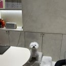 연이뷰티케어 | 대구 웨딩 제모&스킨플래닝 팔공뷰티 죽전점