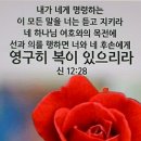 [컬럼] 죽음에 앞서서 이미지