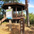 대전 쉬운 등산 코스 _ 진잠 산장산 다녀온 후기