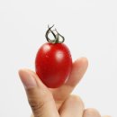 산지농장 이미지