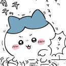 기민농장 | 잭잔느 2회차 카이 루트 후기(스포주의)