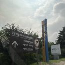 서울근교 여름휴가 추천/서울랜드 워터워즈(물총 대여비, 이용꿀팁)/ft 서울랜드 키별 이용가능...
