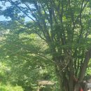 연곡가든 이미지