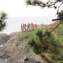 양남주상절리 이미지