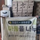 서울 근교 유기견 보호소 &#39;생명공감&#39; 봉사 후기 및 신청방법 (봉사 단체 - 마음이)