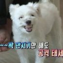 기다리다 네이버블로그