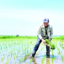 해란강반의 벼꽃향기, 두 지역을 잇다－광동촌의 ‘공유 수전’ 전부 주인을 찾아 이미지