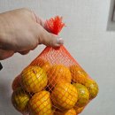 금강로하스엘크루(아)경로당 | 대전 신탄진 유리창 청소, 가을풍경 2배 더 만끽하는 법 Ft.석봉동 엘크루