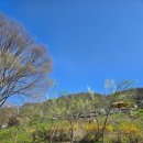 남궁목장 이미지