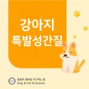 24시 송도힐 동물메디컬센터 | 캠퍼스타운동물병원 강아지 특발성간질 반복 발작의 원인? [24시송도힐동물메디컬센터]