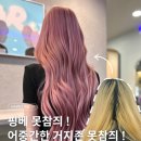 워너비헤어플랜 | 거지존 탈출은 수원 붙임머리, 하루만에 핑크베이지 염색까지 한 곳에서 성공