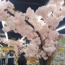 서부식자재마트 - 양천구 | 서부식자재마트