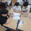 보람초등학교 이미지