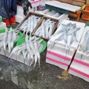 브라운도트호텔오동점 이미지