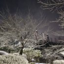 희망공원-공원로 이미지