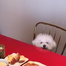 스테이보나 네이버블로그