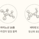 하미아미 이미지
