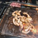 솔내음물댄동산 | [장성/캠핑후기] 솔내음 물댄동산. 소나무 그늘 아래 2박 3일.