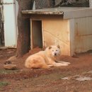 화성농장 이미지