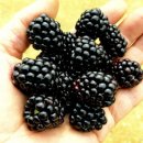 대성슈퍼 이미지