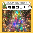 착한언니 애견살롱 | 🎄여주 하늘천따지 애견동반 크리스마스 카페 방문기
