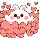 약초와산이야기 - 홍천군 | 약초와산이야기