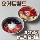 요거트월드 | 천안 백석동 요거트 아이스크림 요거트월드 솔직후기 :: 그릭요거트 맛집